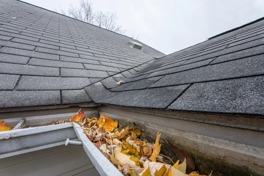 Roof felt